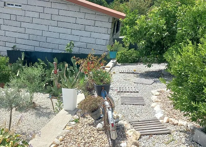 Casa de Férias Casapinto Castro Daire